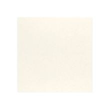 EZ珪藻土 塗装用ホワイト