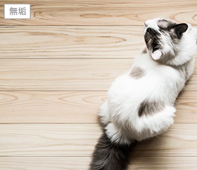 ネコフロア ヒノキ