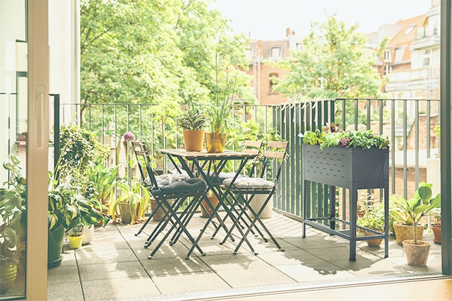 緑がいっぱいのベランダ